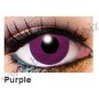 Solid tone lenses Purple