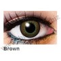 Two tone lenses Brown